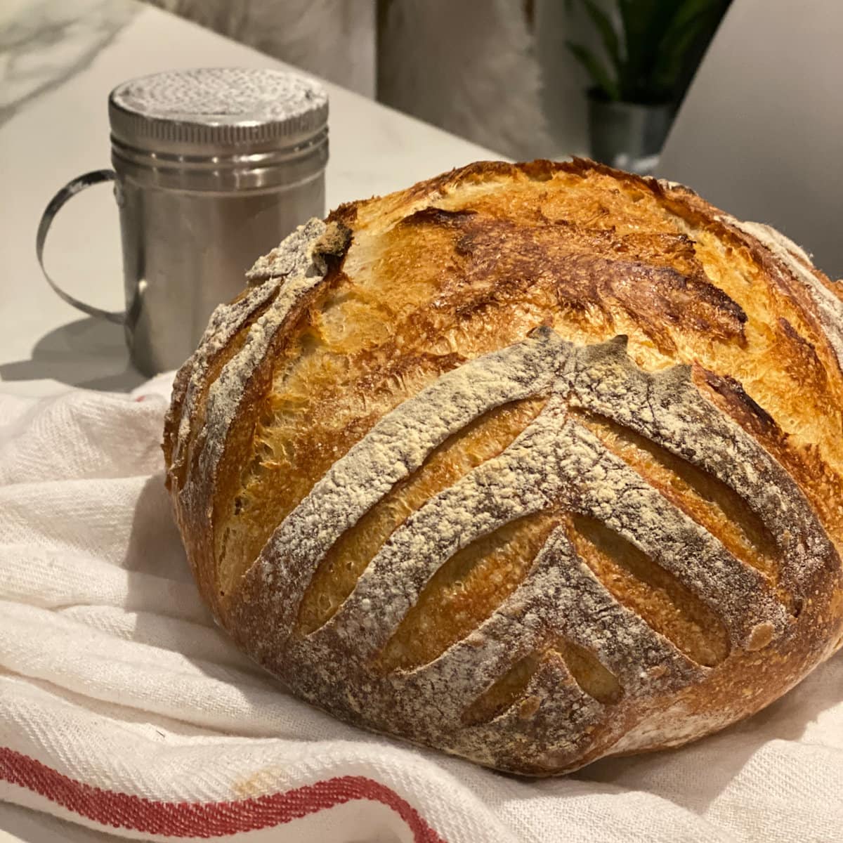 pain maison comme à la boulangerie, pain cocotte sans pétrissage