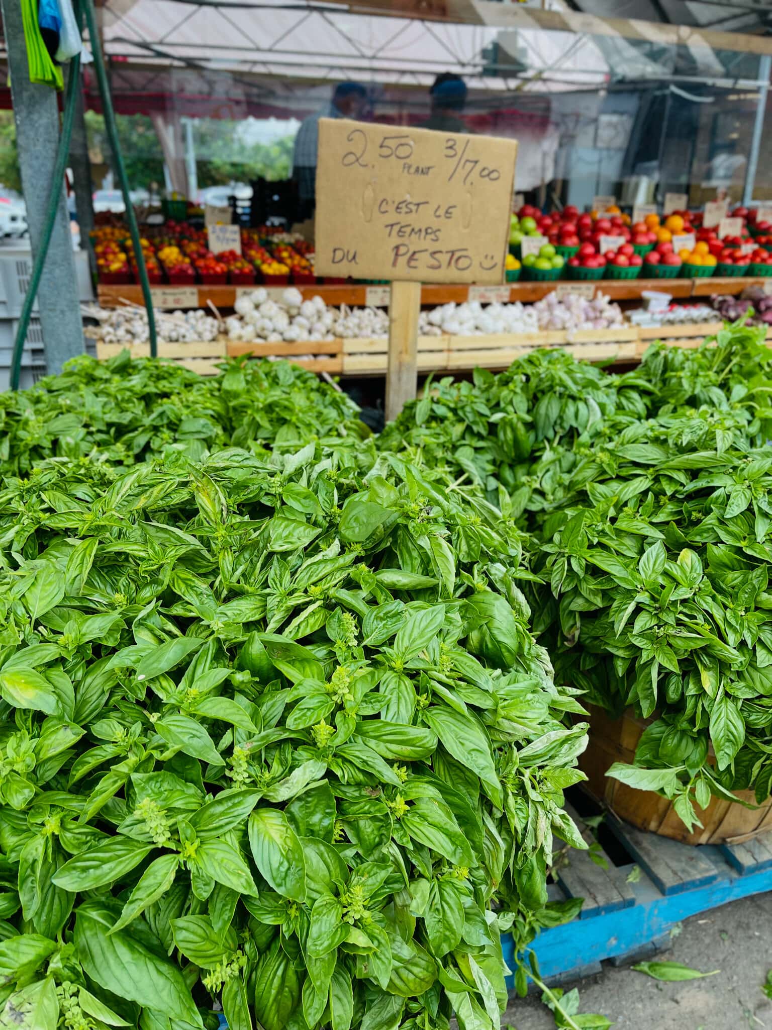 recette pesto baslic