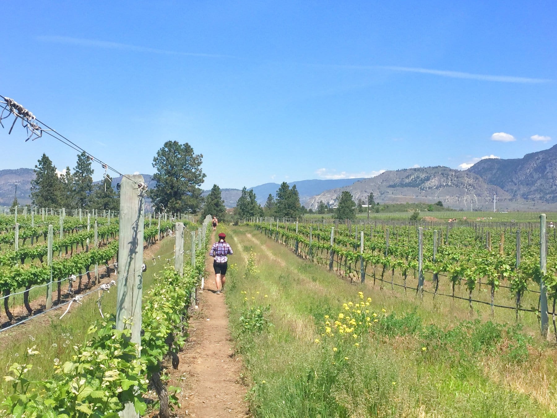 half corked marathon