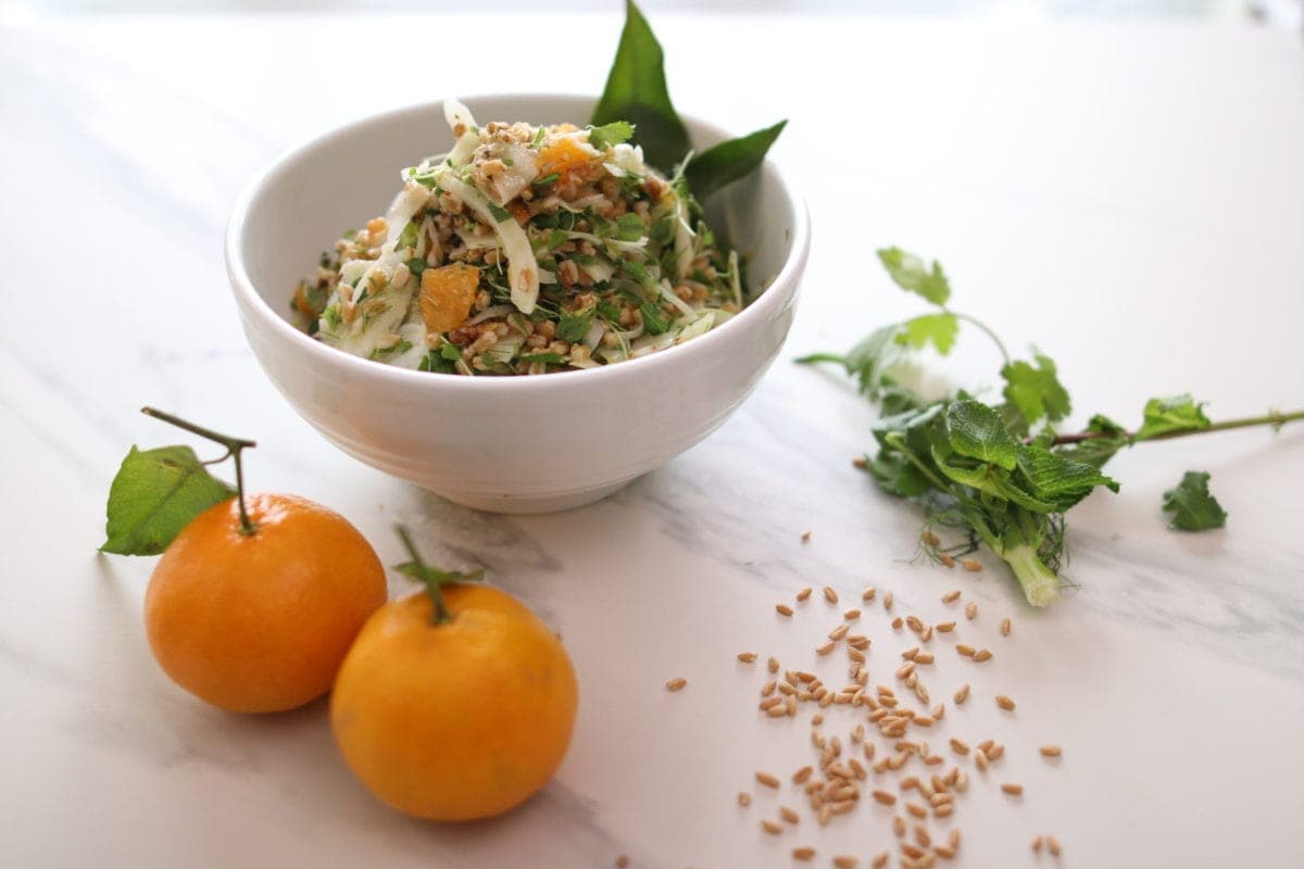 salade de farro au fenouil et clémentines