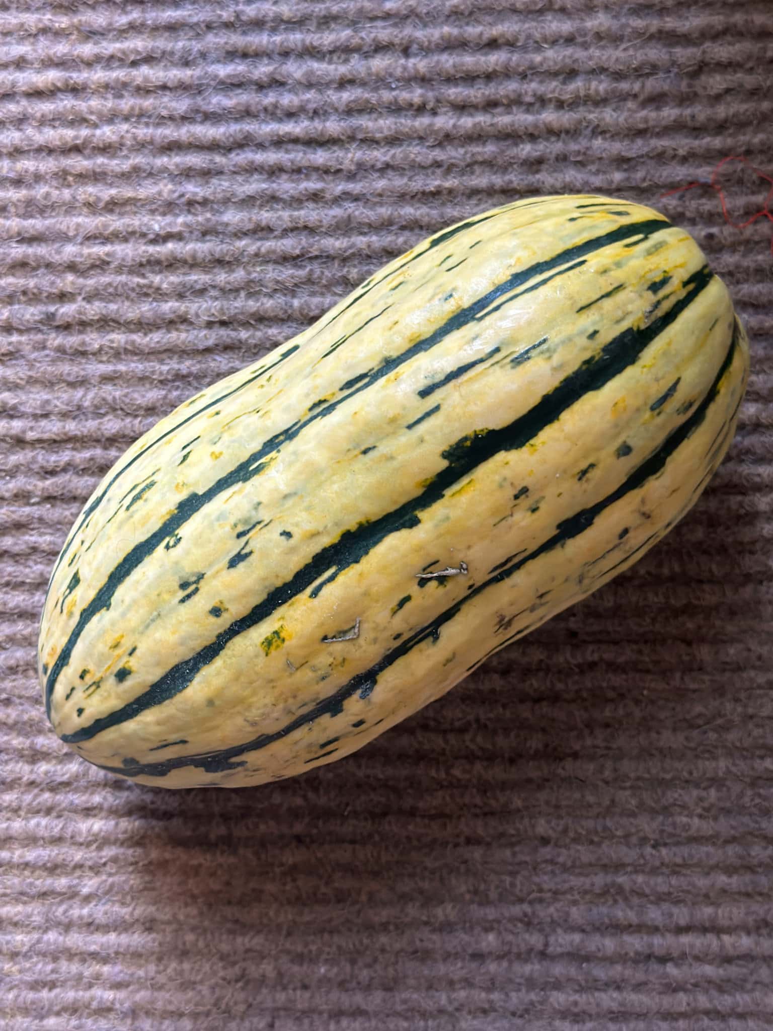 recette courge delicata