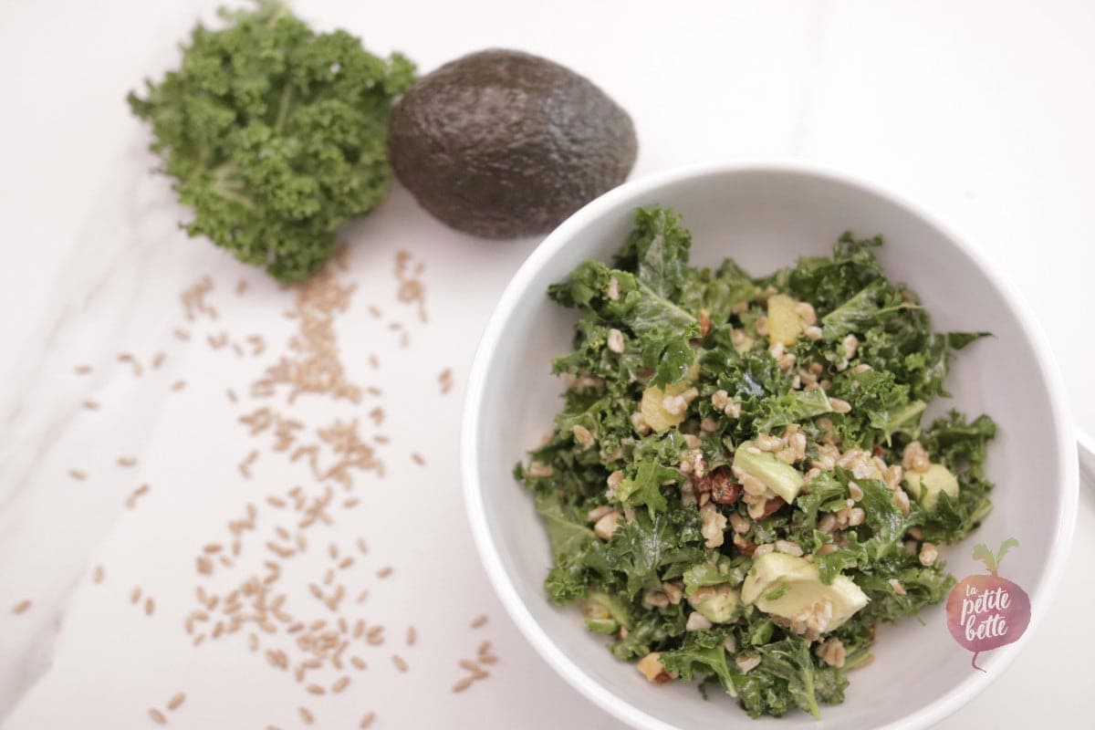 Salade avocat kale farro blé tendre