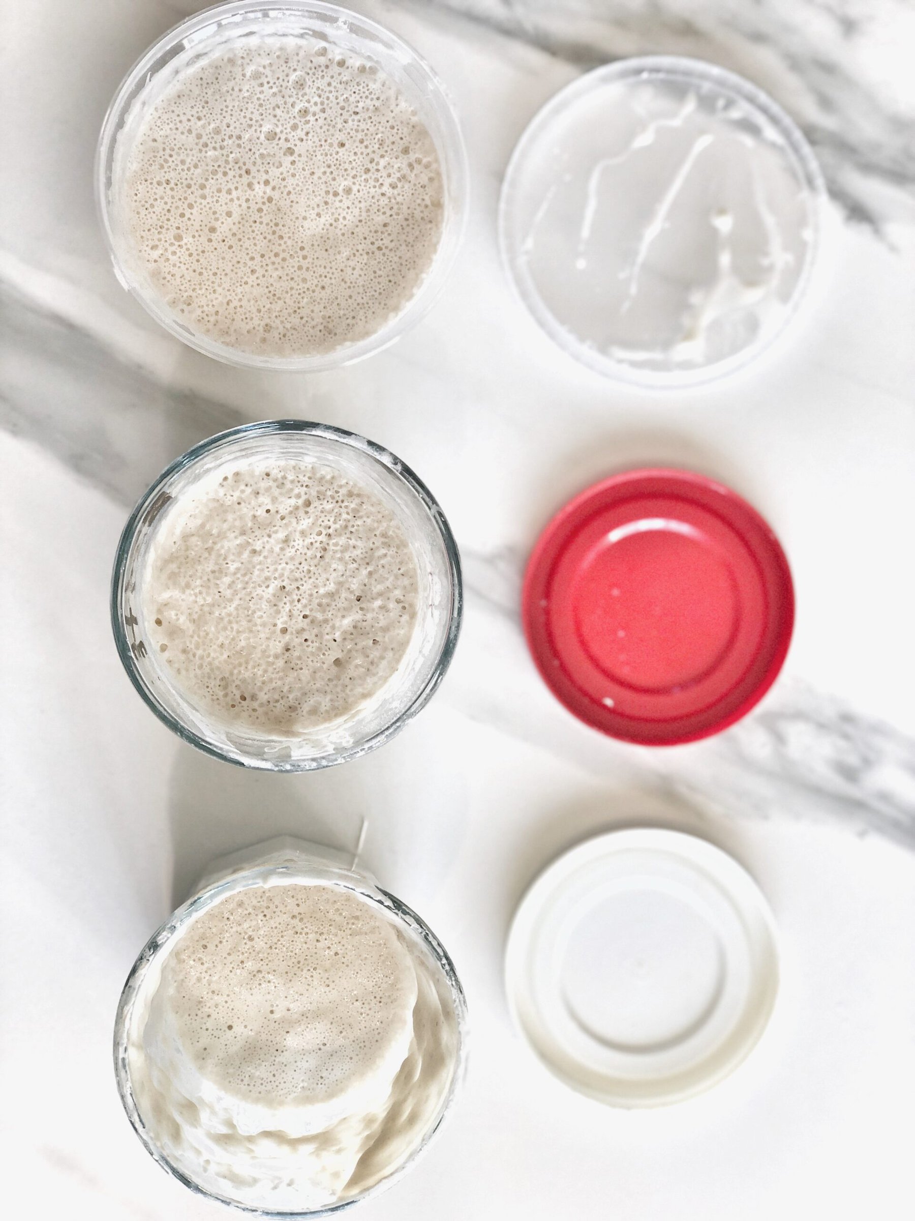 3 pots de levain avec couvercles sur un comptoir