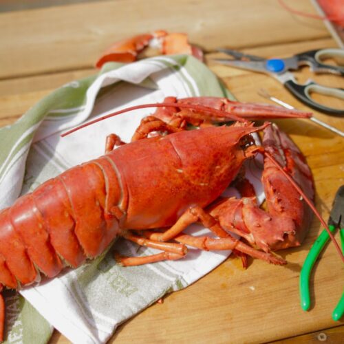 Cuisson du homard, homard entier cuit sur une planche avec les outils