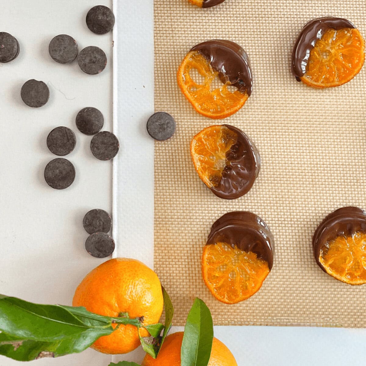 tranches de clémentine confite au chocolat sur un silpat avec clémentines à feuilles et pépites de chocolat noir sur comptoir blanc