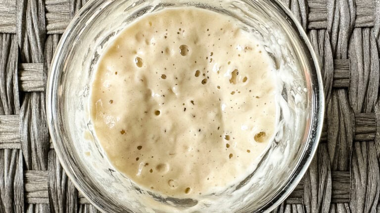 levain rempli de bulles dans un pot en verre sur fond gris