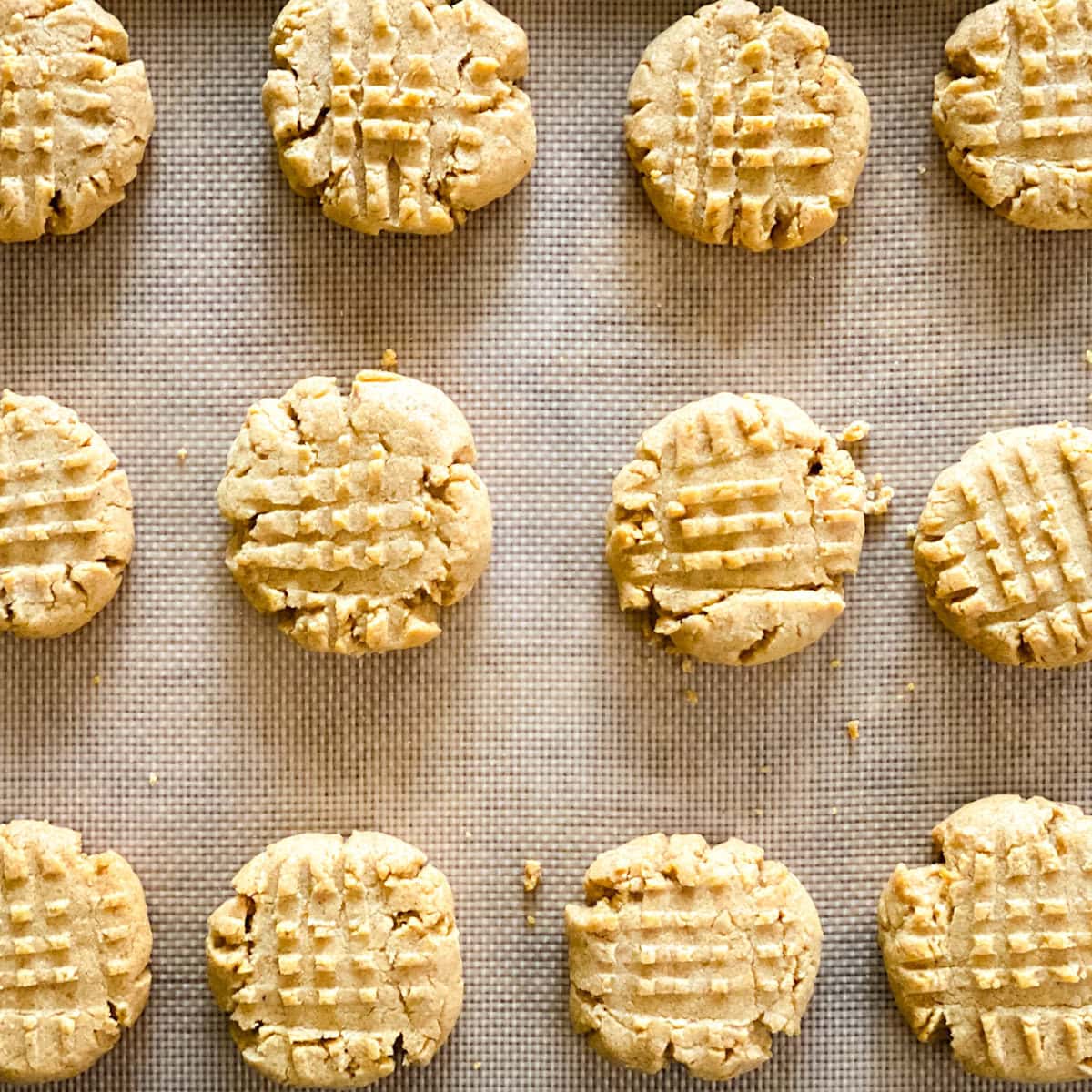 biscuits au beurre d'arachide quadrillés sur un silpat