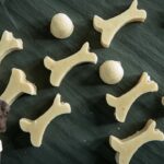 Recette de gâterie pour chien