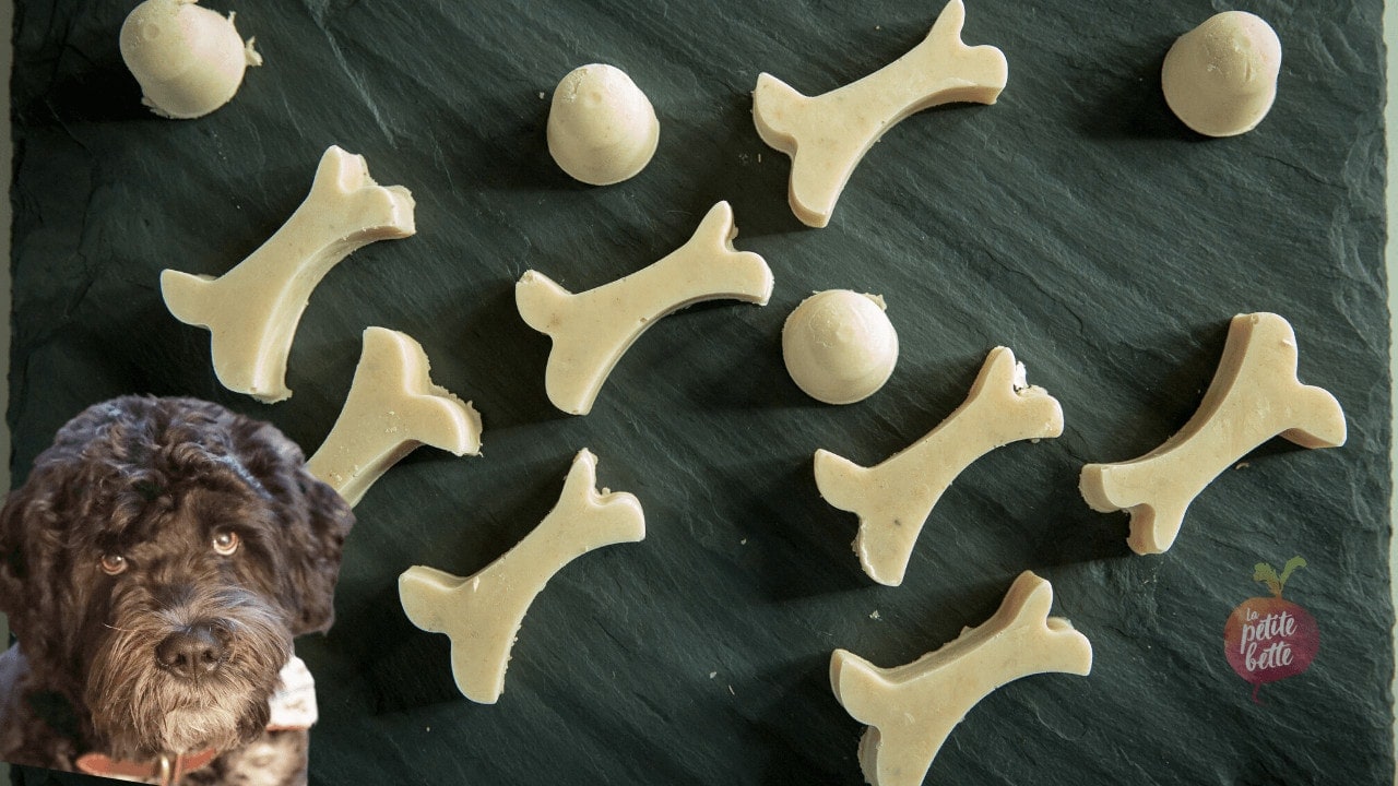 Recette de gâterie pour chien