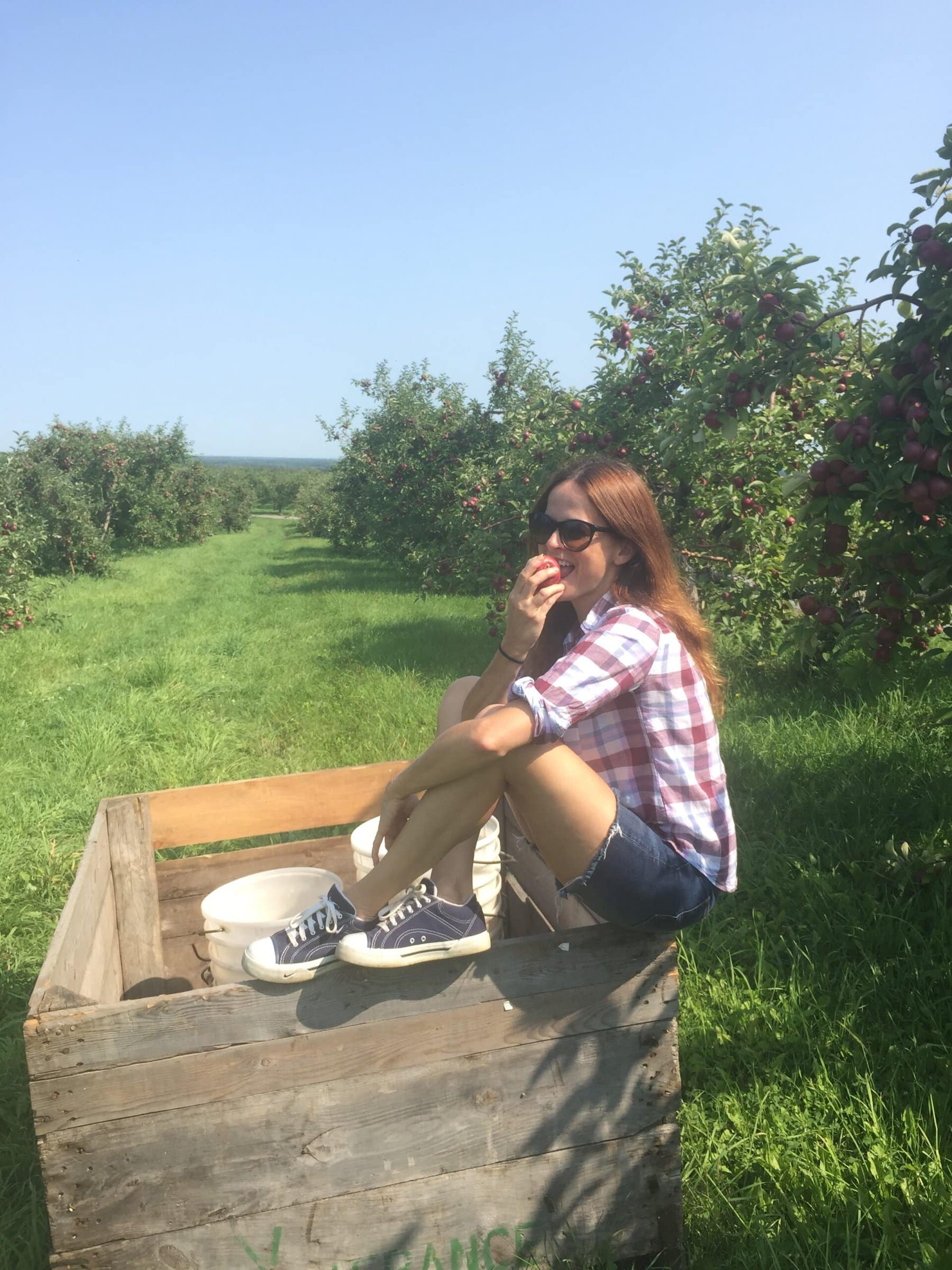 recette croustade aux pommes