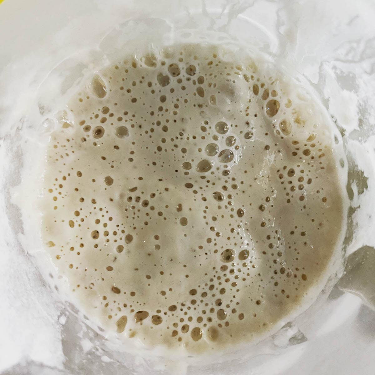 levain tout point avec des bulles dans un bol de verre