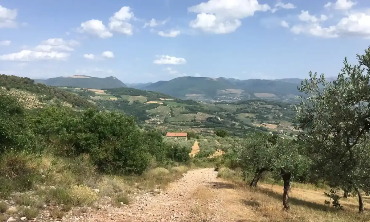 Le chemin de St-François