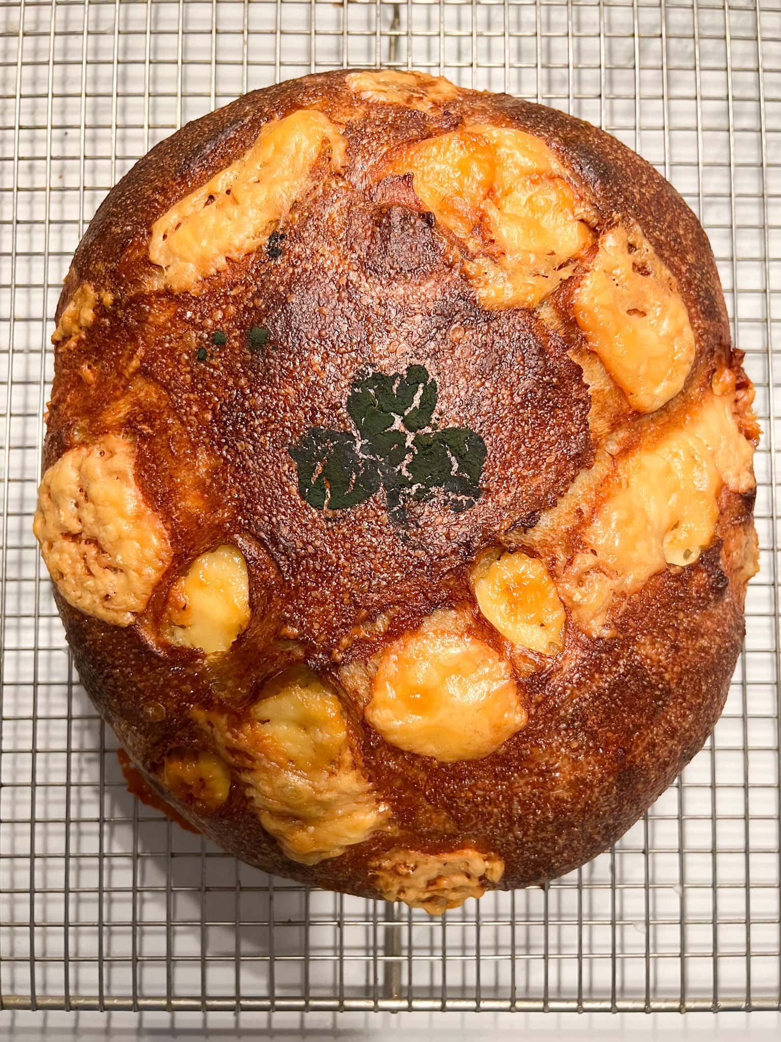 Pain à la bière et Dubliner