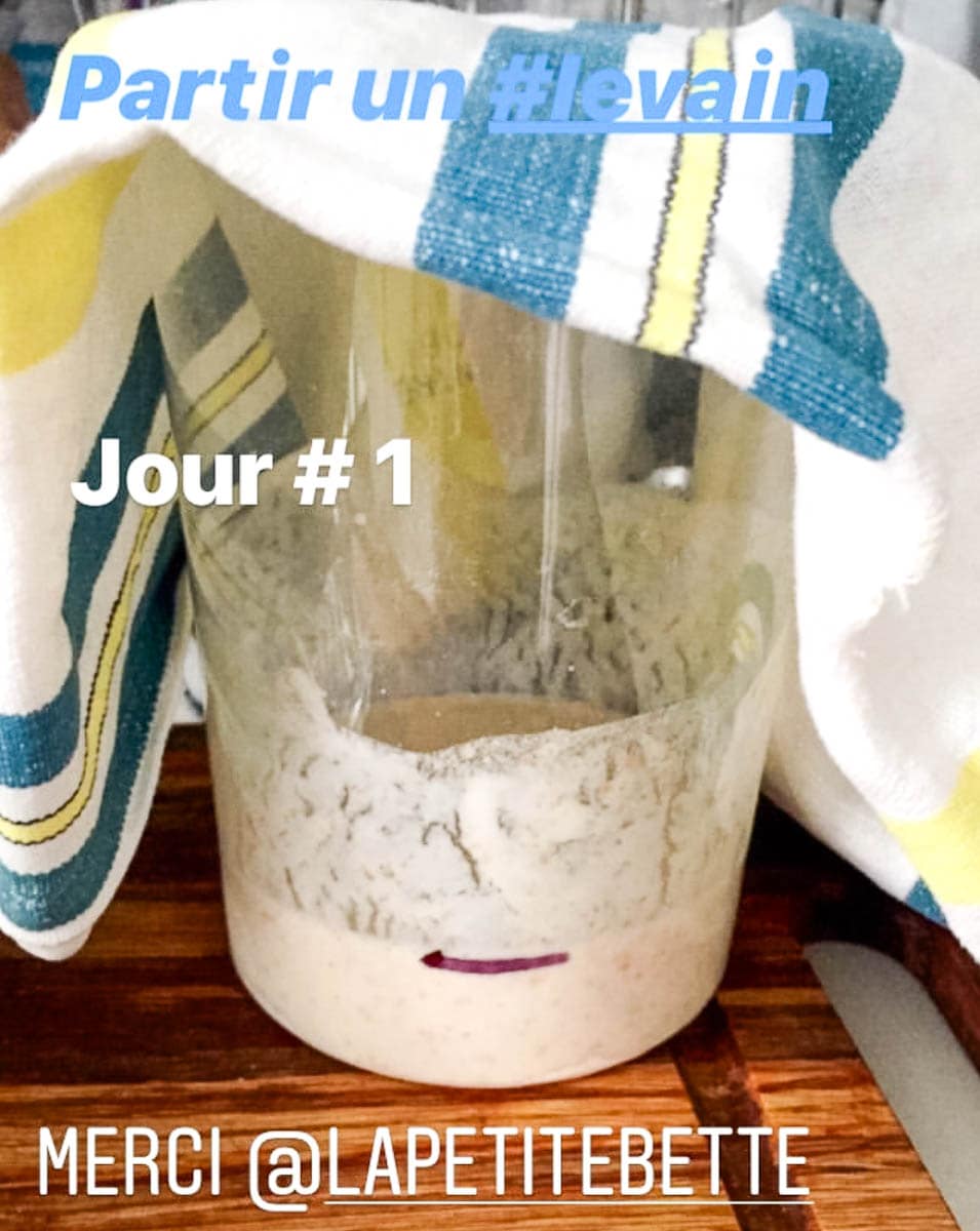 photo de levain jour 1 avec merci La petite bette