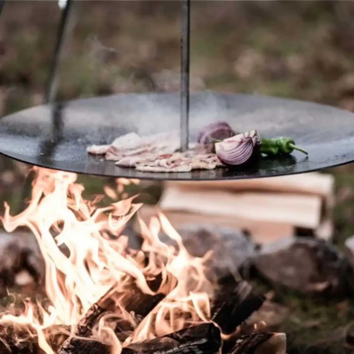 brasero plancha petromax