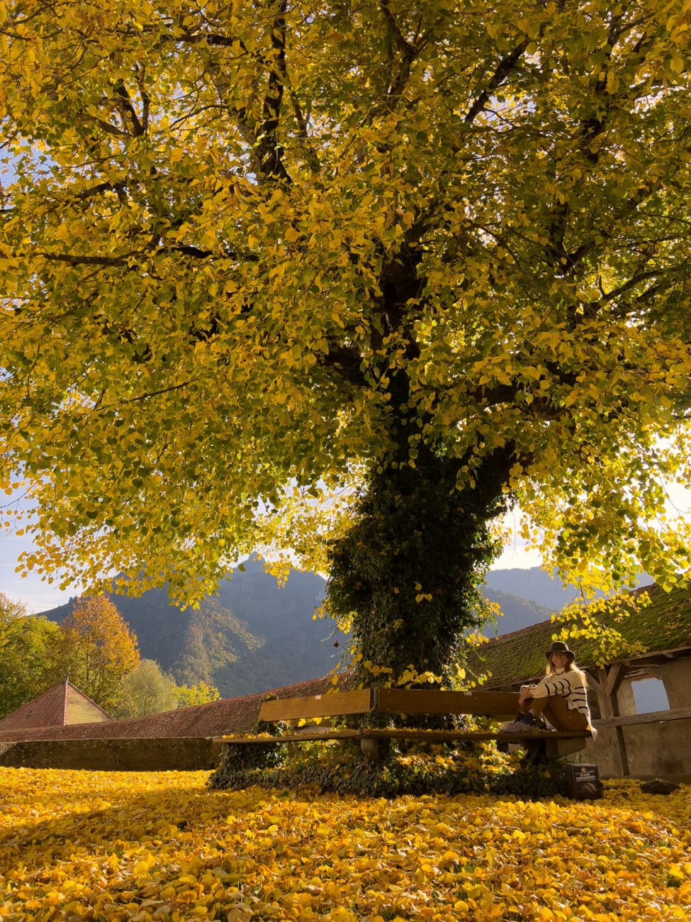 Automne en Suisse