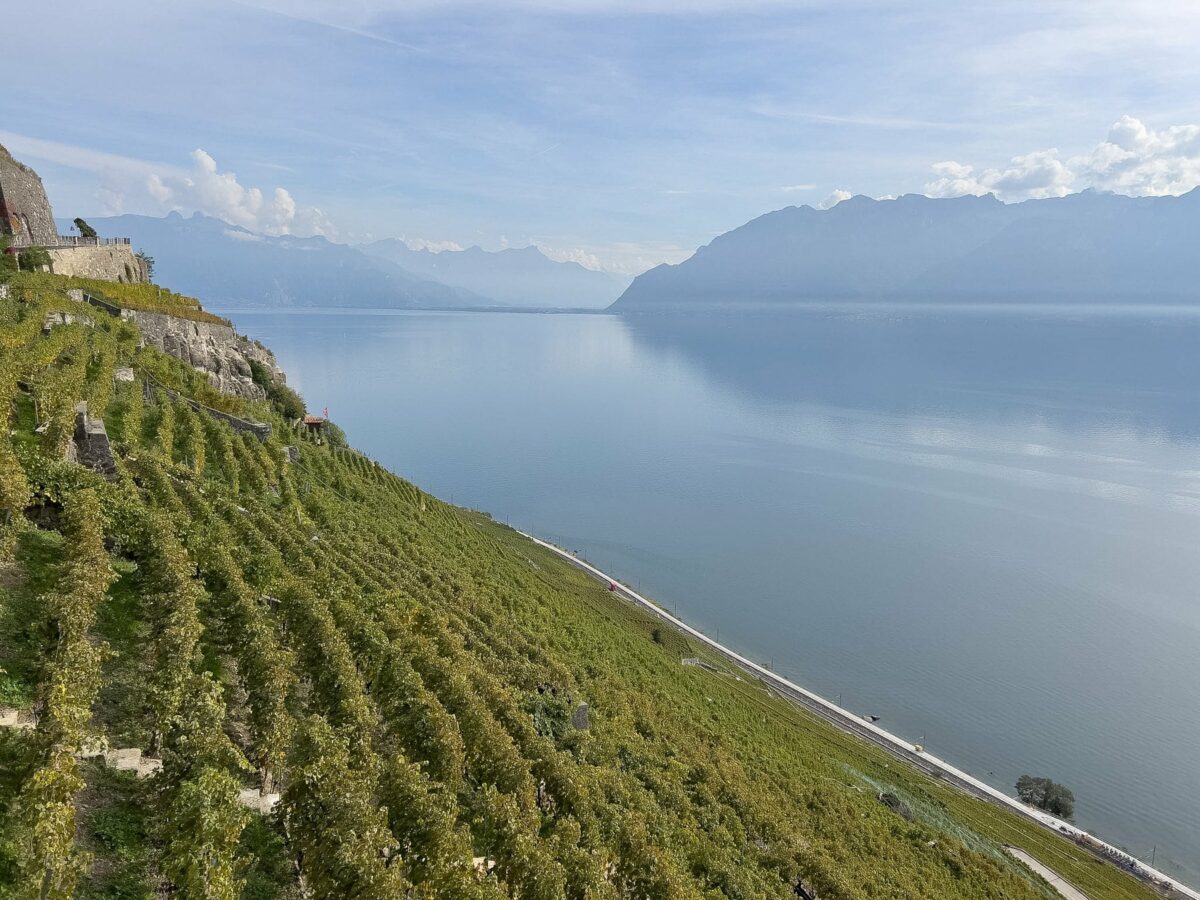 voyage en suisse, Lavaux
