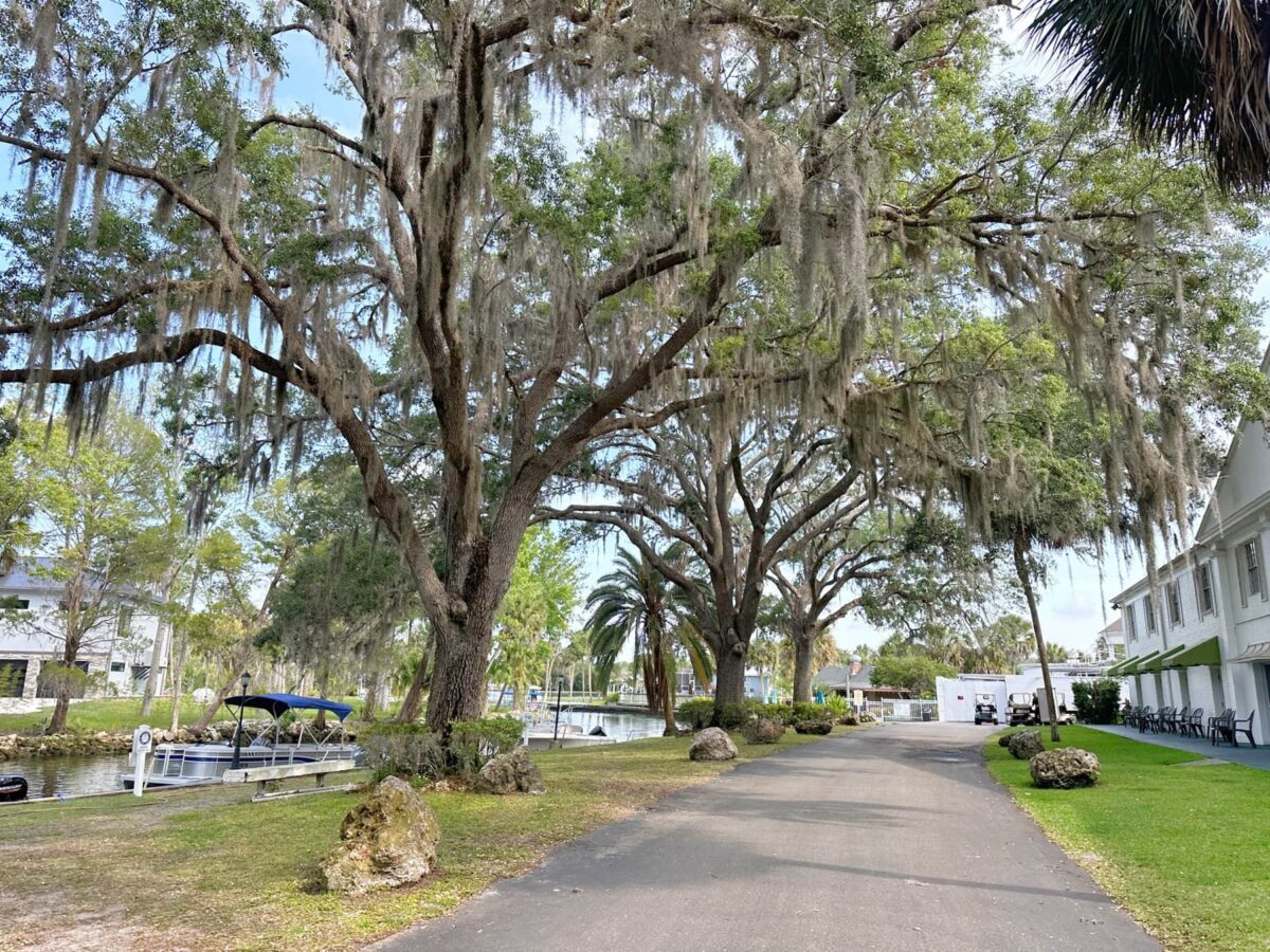 Plantation on Crystal River