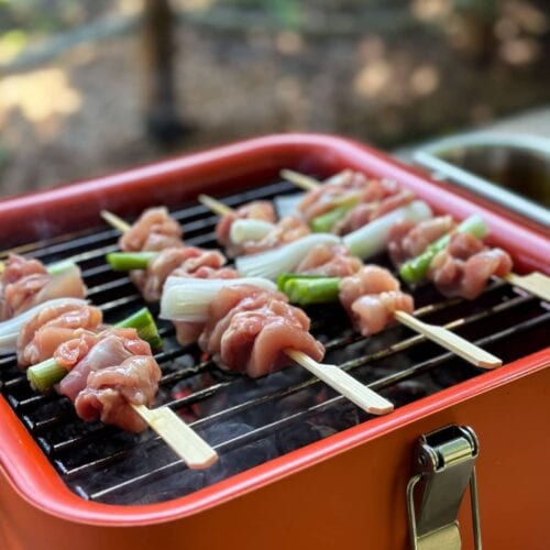 Cube grill everdure yakitori