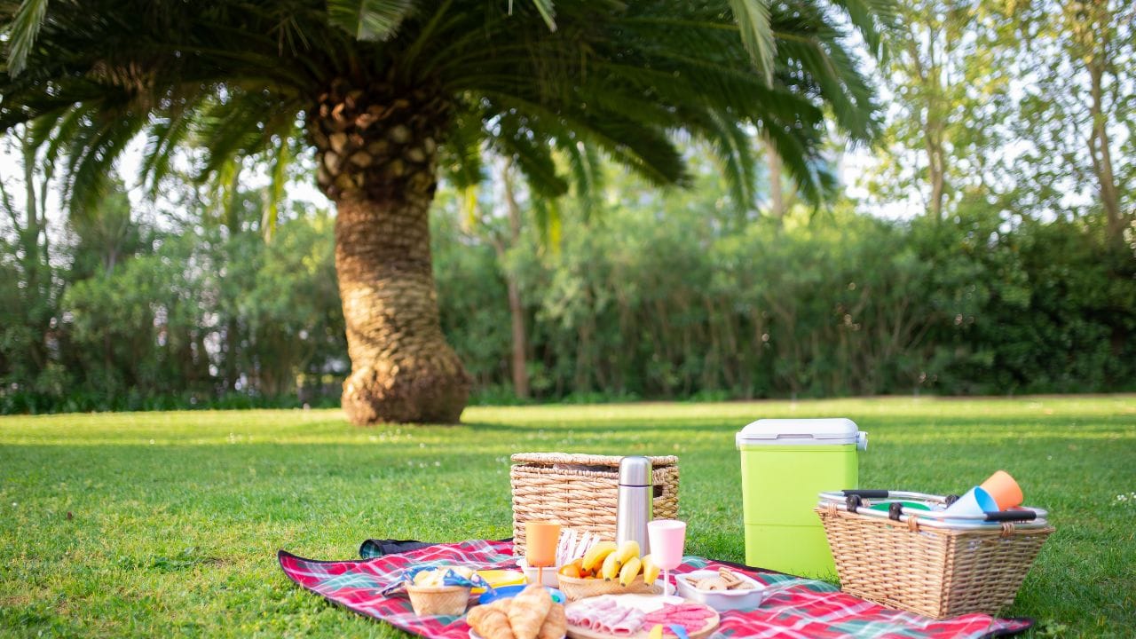recette salade pique nique