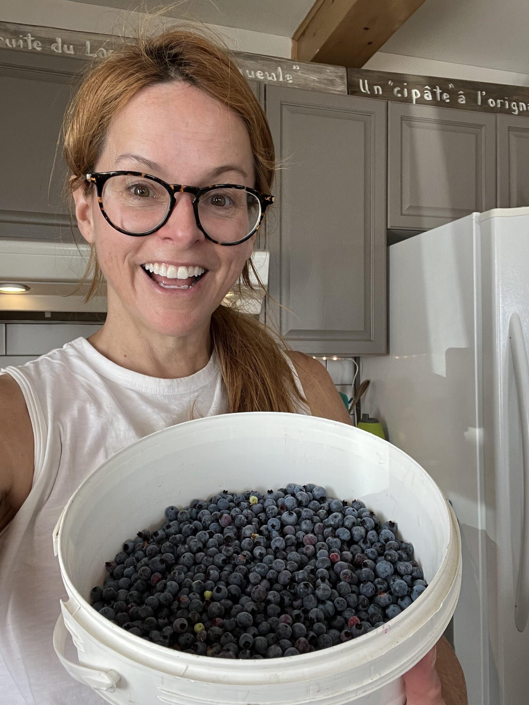 bleuet sauvage recette