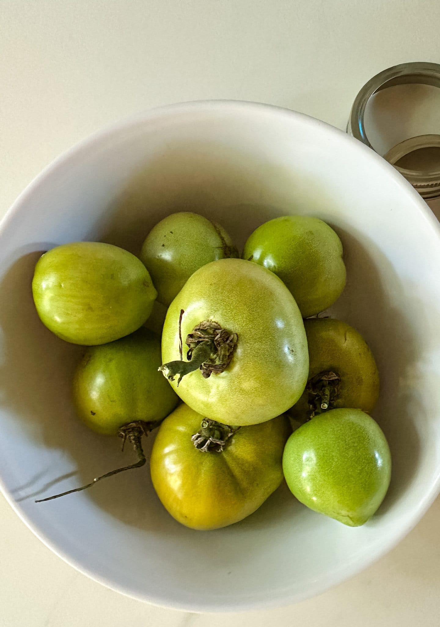 recette tomates vertes