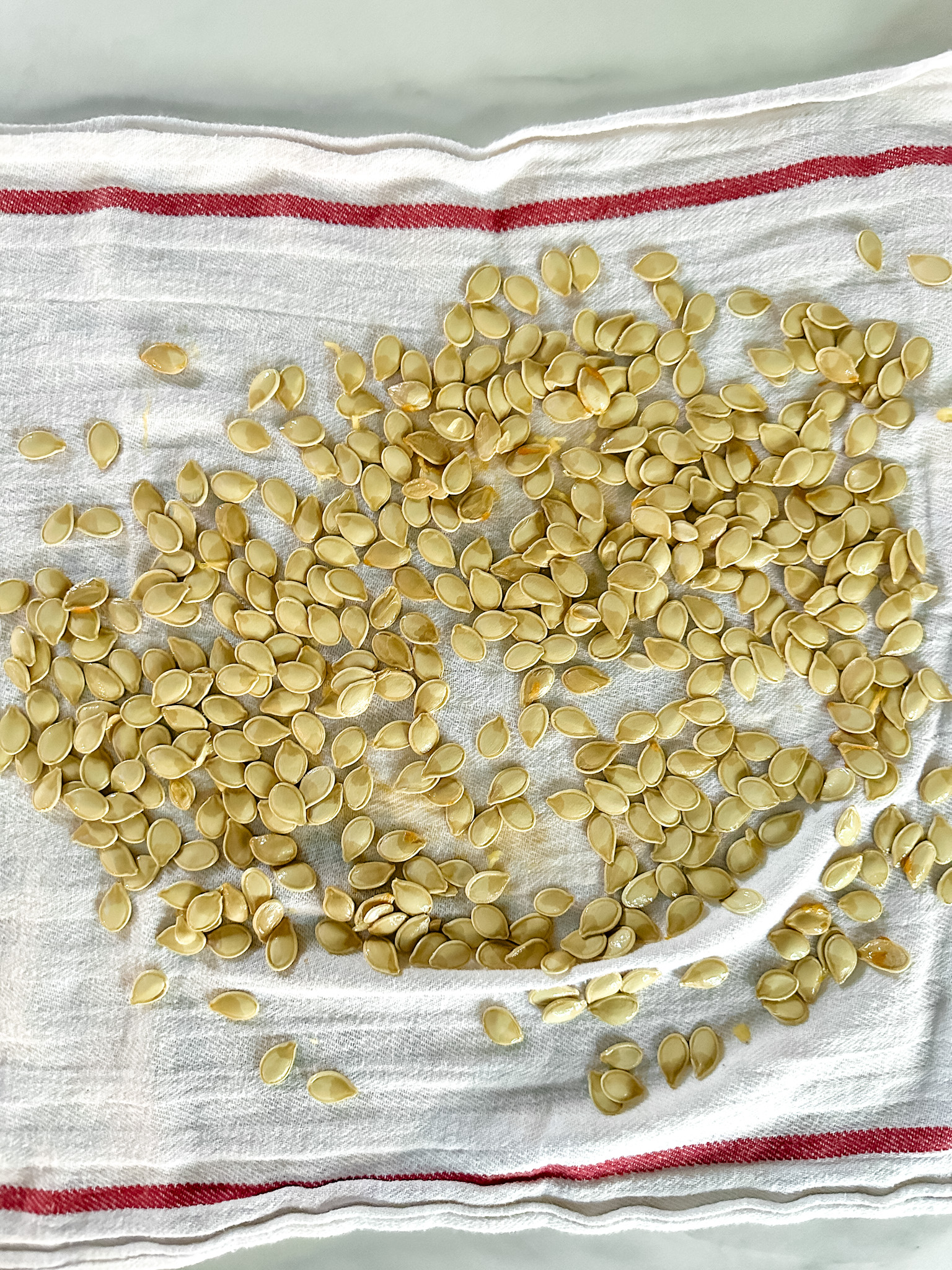 graines de citrouille comment les faire sécher sur un linge propre