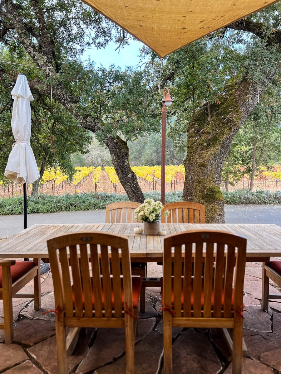 Dégustation de vins chez Hendry's winery à Napa Valley avec vue sue vignobles