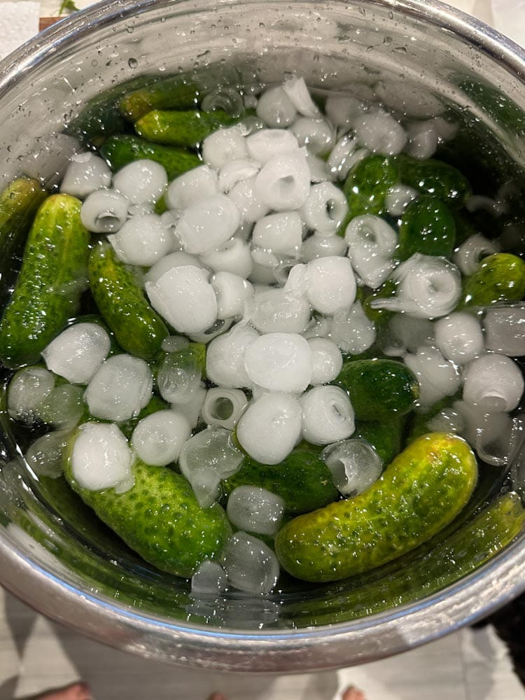 petits concombres à cornichons qui trempe dans l'eau avec glaçons