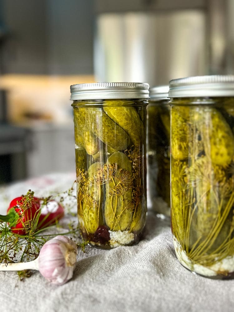 cornichons en conserve sur comptoir avec ail, piment et aneth