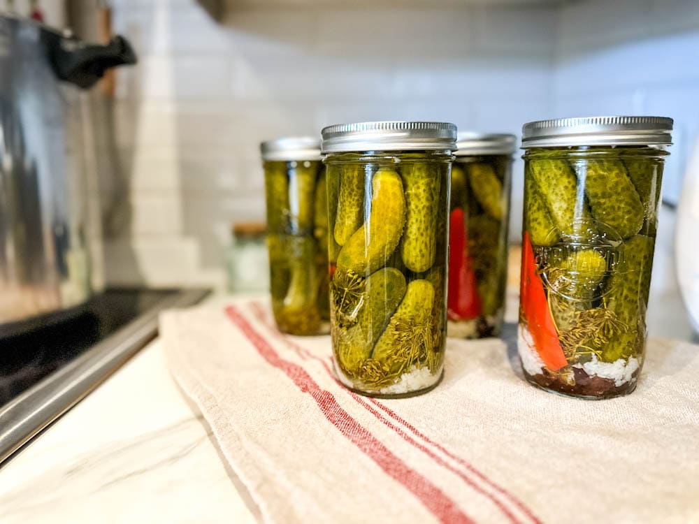 bocaux de conserve de cornichons avec marmite