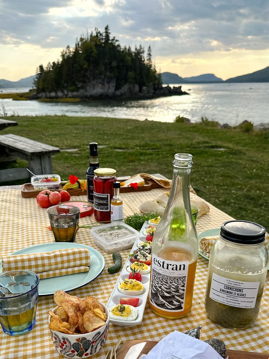 pique-nique sur table avec nappe à carreaux jaunes et blanches vue sur le Parc du Bic à Rimouski