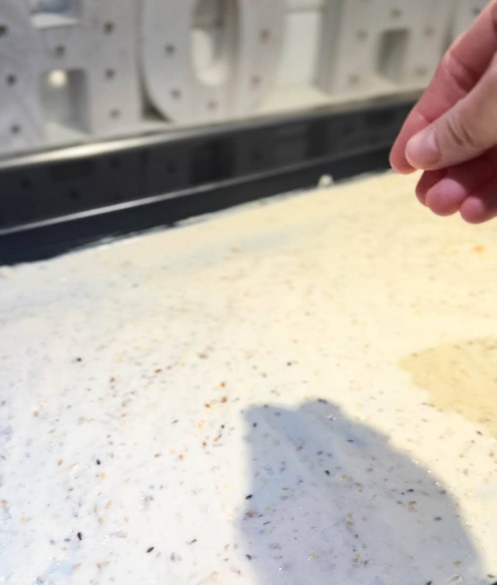 main qui assaisonne le plaque de levain