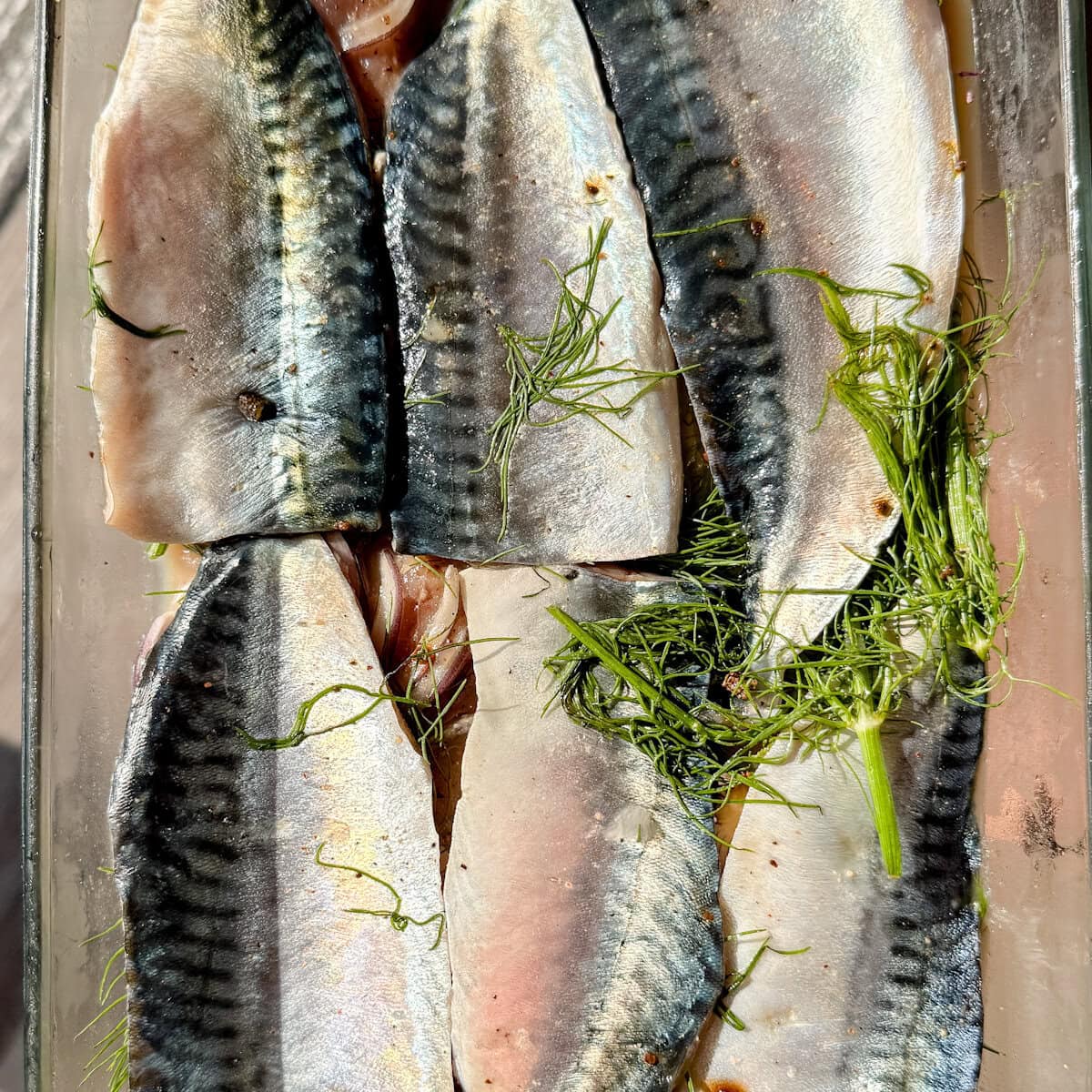 filets de maquereau en saumure gravlax